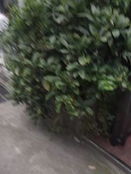 点击看大图 -宝贝家族国际影像馆(东郊记忆店)