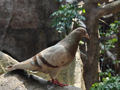 -长鹿旅游休博园