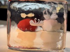 -BLACKSWAN黑天鹅(环球店)