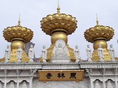 -上海东林寺(金山区)