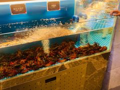 水产区-鼎原力量东北吊炉烧烤(幸福街店)