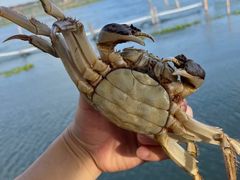 -王四营海鲜市场