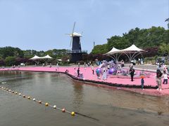 -上海鲜花港