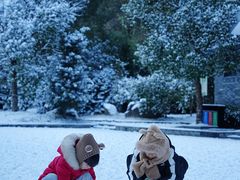 -宁波五龙潭景区