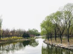 -大兴滨河森林公园