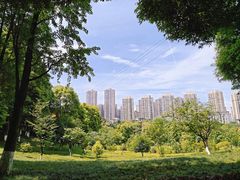 -龙头寺公园