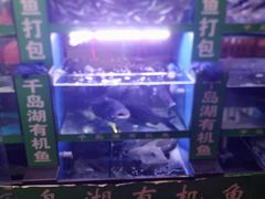 -全乐鱼馆·淳牌有机鱼直营店
