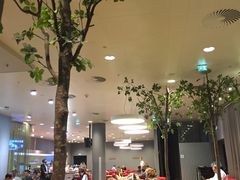 -维也纳国际机场