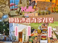 -西涌国际滨海旅游区