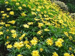 -白帝城·瞿塘峡景区