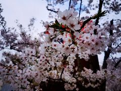 -龙美术馆(西岸馆)