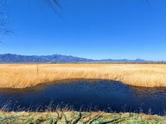 -野鸭湖国家湿地公园