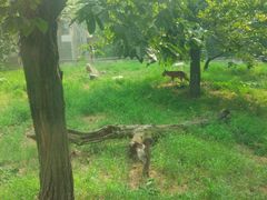 -西安秦岭野生动物园