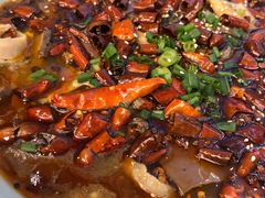 毛血旺-陈麻婆豆腐总店