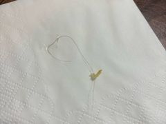 -达美乐比萨(武定店)