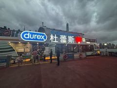 -黄浦江游览快线(金陵东路码头)