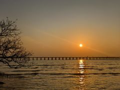-宝安西湾红树林湿地公园