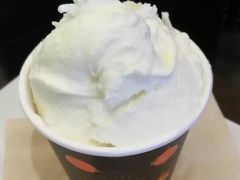 -野人先生现做冰淇淋(北京顺义祥云小镇店)