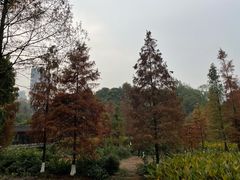 -重庆彩云湖湿地公园