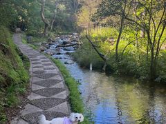 -玉渡山自然风景区