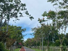 -上海长兴岛郊野公园