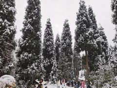 -九峰山