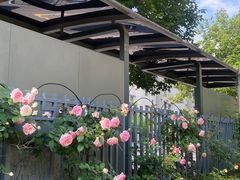 -杭州观成实验学校