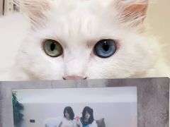 -有猫主题·治愈系猫咖(曾厝垵店)