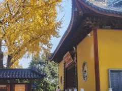 -上海青龙寺