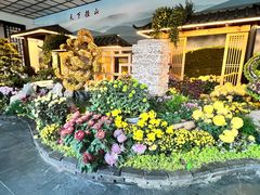 -杭州植物园