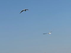 -水上明月·湖景餐厅