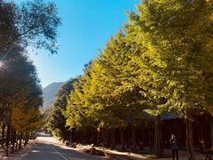 -洛阳白云山景区