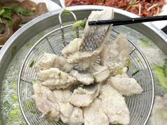 -金砂阿洲鱼册店