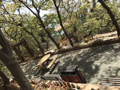 -大长山岛