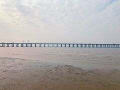 -宝安西湾红树林湿地公园