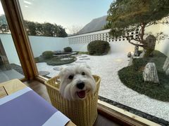 -遂昌红星坪温泉酒店