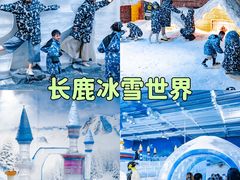 -长鹿旅游休博园