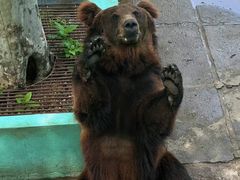 -西霞口神雕山野生动物世界