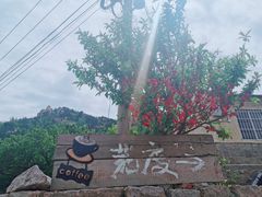 -荒度咖啡(北九水店)