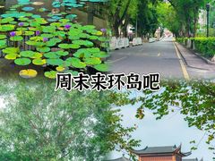 -长洲岛