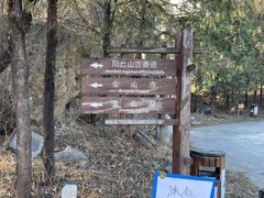 -阳台山自然风景区