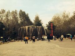 -合肥滨湖国家森林公园