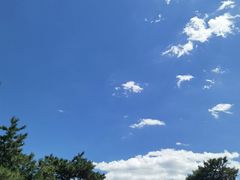 -兰州老马拉面(四王府店)