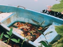 -兰溪青年公园
