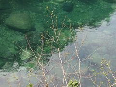 -石台牯牛降景区