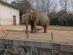 -合肥野生动物园