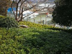 -上海港国际客运中心1号游艇码头