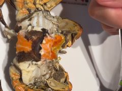 -杨氏青龙虾·羊蝎子(金盛路总店)