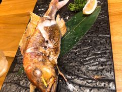 -九州酒场ひこぞう(2号店)