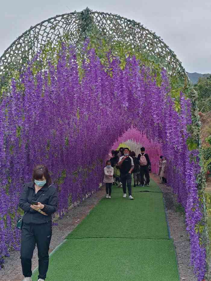 锦仔山生态乐园图片图片